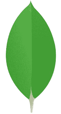 MongoDB